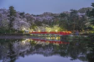 岩槻城址公園3