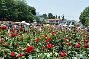 与野公園 多くの人で賑わう園内