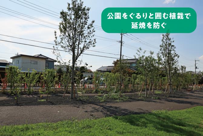 植栽