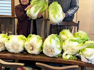 フードパントリー1