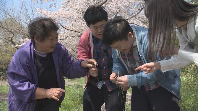 出演者が農作物を収穫する写真