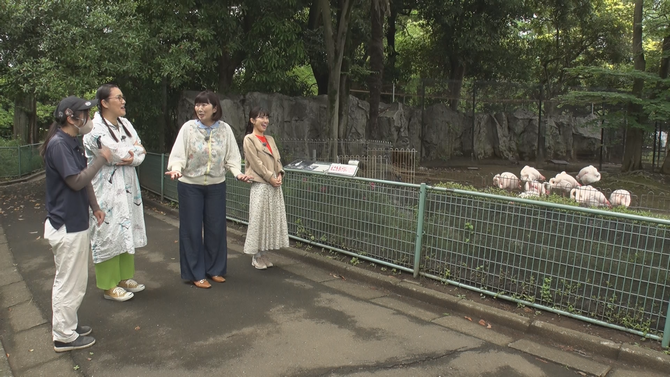アウトドア