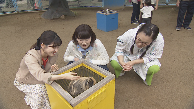 動物園