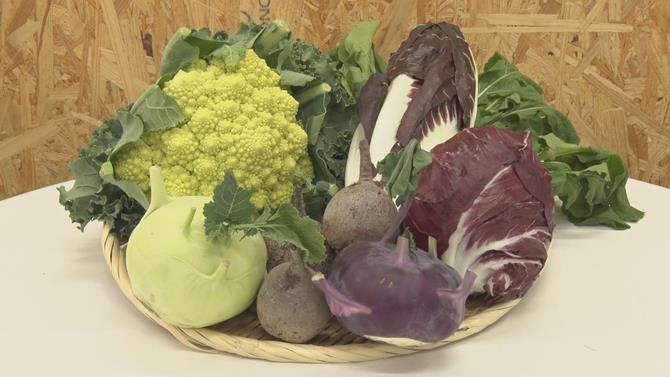 ヨーロッパ野菜の美味しさをリポート
