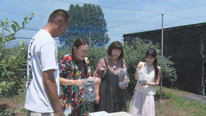 ブルーベリープラザ浦和