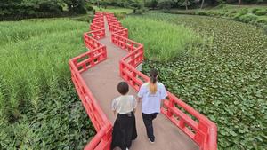 城址公園
