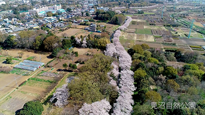 見沼自然公園からのドローン写真