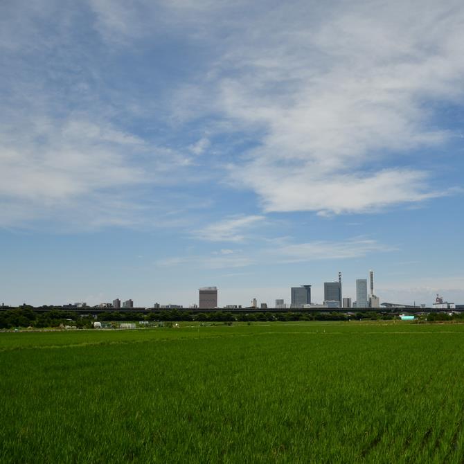 投稿例2.見沼田んぼの四季