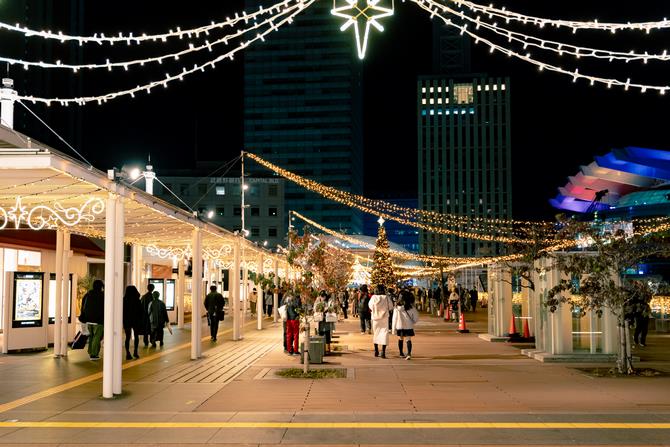 イルミネーション1