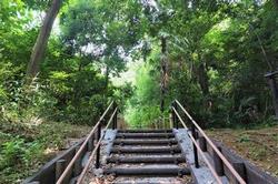 こもれび公園1.