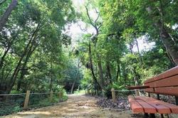 こもれび公園2.
