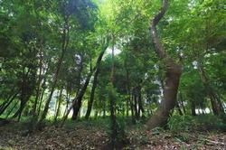 こもれび公園4.