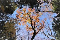 こもれび公園7.