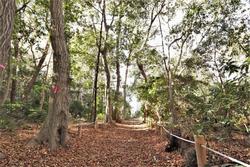 こもれび公園8.
