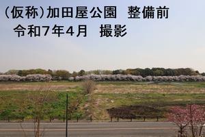 加田屋公園　整備前