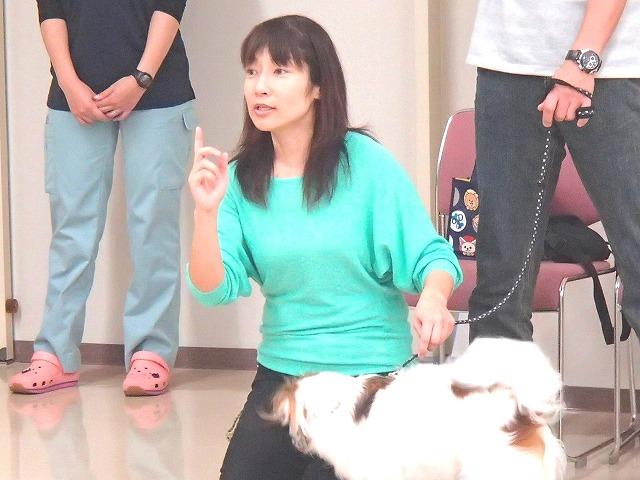 しつけ方教室