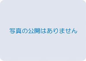 公開なし