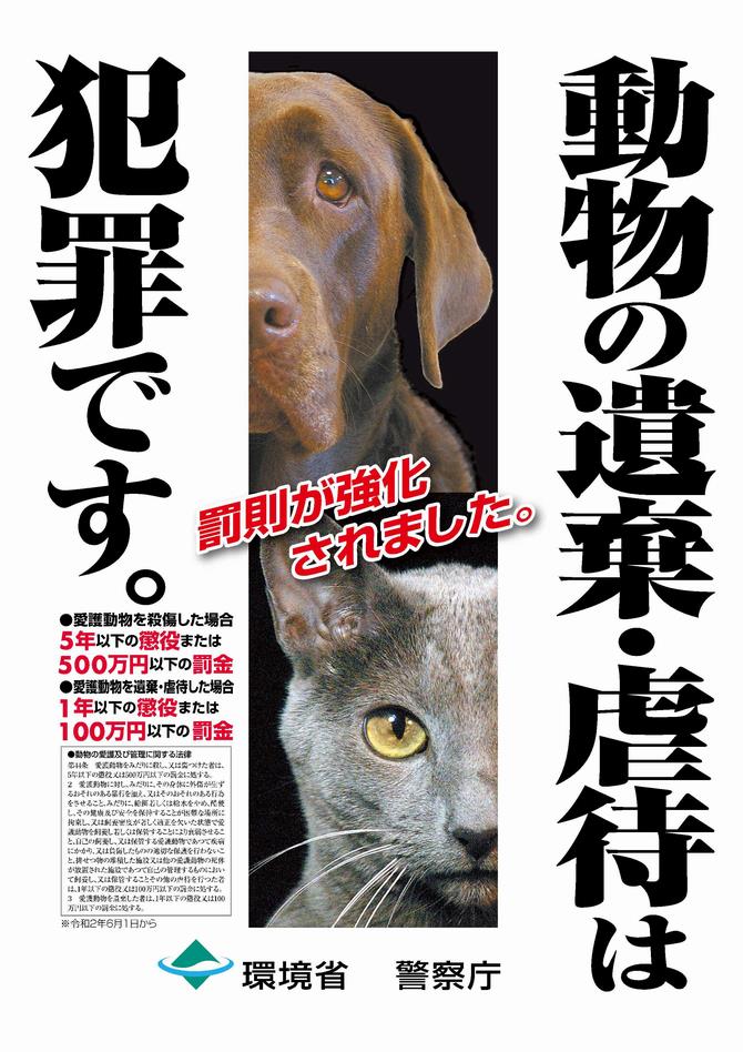 ポスター