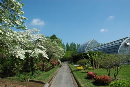 花木園