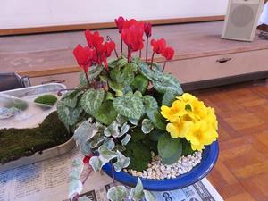 寄せ植え