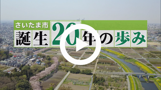 20年の歩みサムネイル