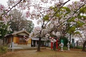 天祖神社2