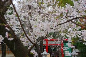 天祖神社3