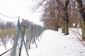 雪景色3