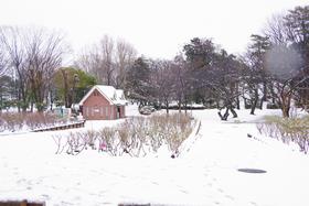 雪景色4