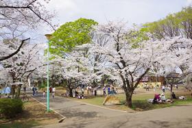 北側広場3