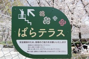 南園1