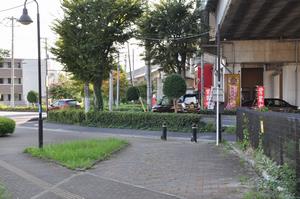 下落合緑道3