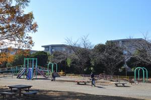 八王子公園3