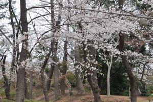 与野公園4