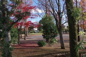 大戸公園付近1