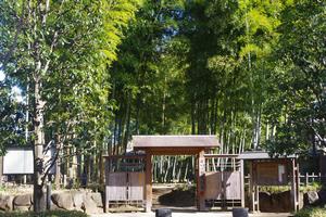 氷川の杜文化館