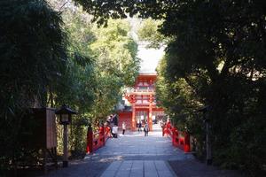 神池の橋