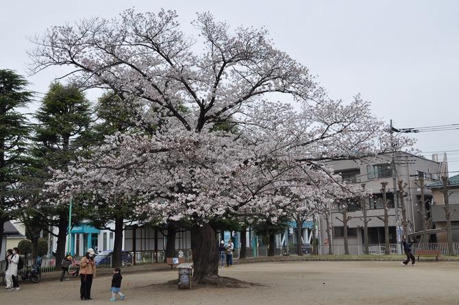 上落合公園