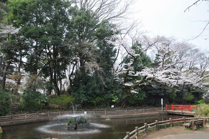 与野公園