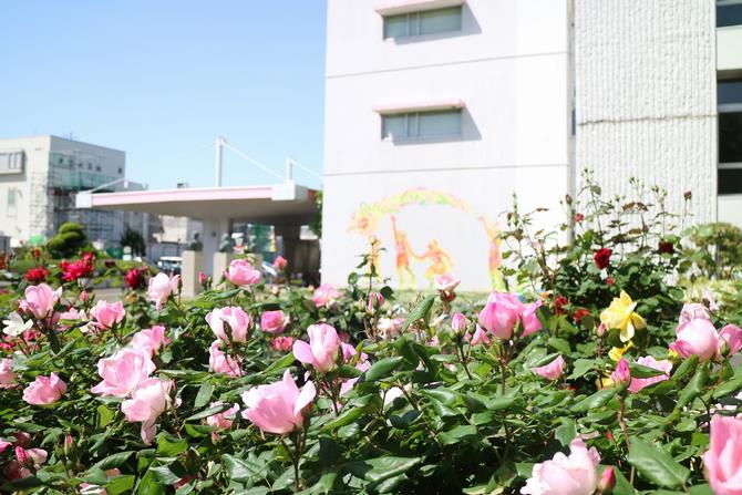 壁面を望む