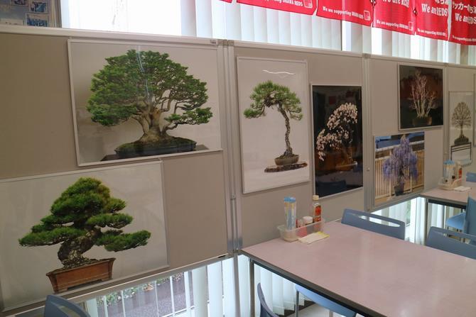 左展示