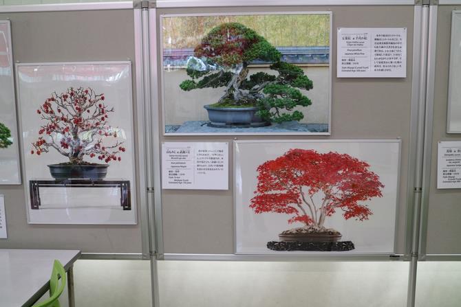 右展示