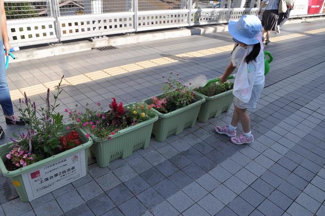 水やり