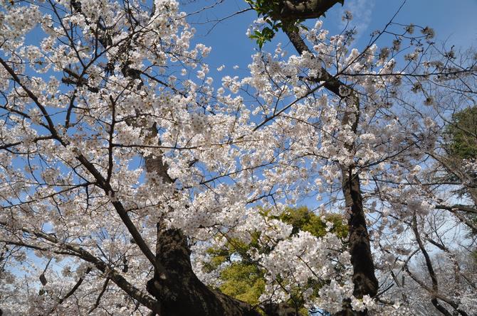 3月28日