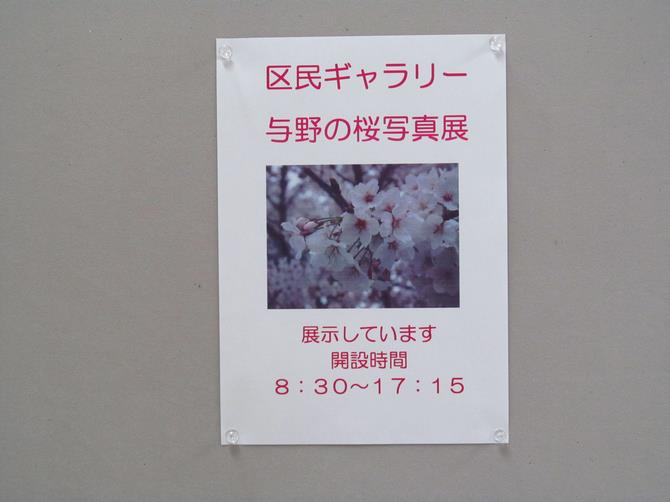 写真5