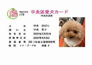 愛犬カード見本（表面）