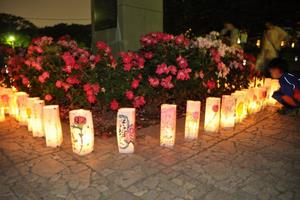 rosereport051810