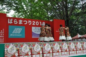 rosereport051911