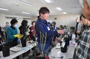 rosereport012707