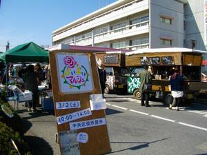rosereport030206